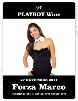 Etichetta Vino
PLAYBOY Wine
27 NOVEMBRE 2011
Forza Marco
DENOMINAZIONE DI CONIGLIETTA CONSIGLIATA